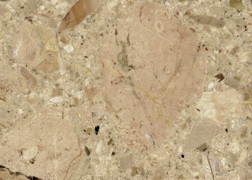 Breccia Aurora Agglo